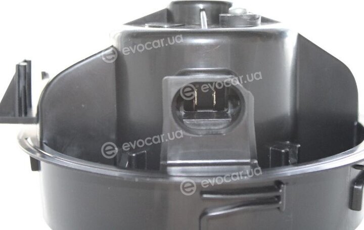 Walker / Fonos WBL00055
