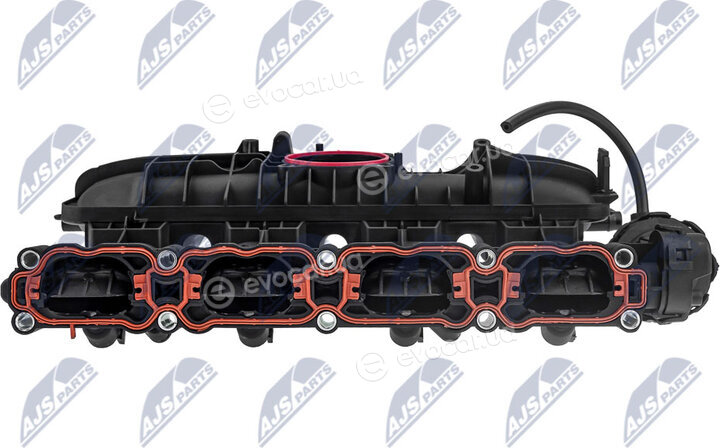NTY BKS-VW-029