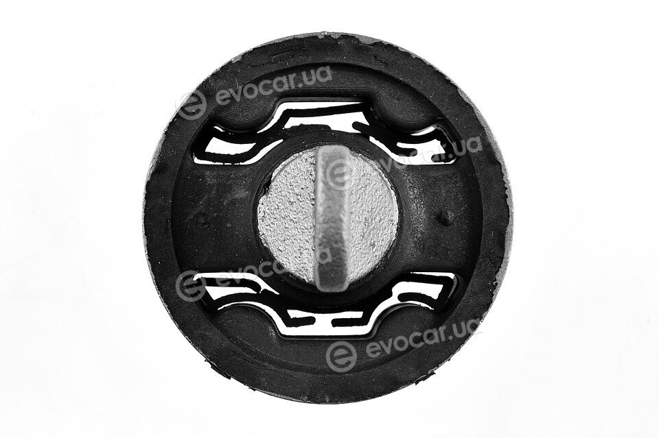NTY ZTT-CH-006E