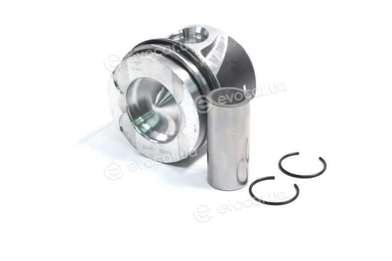 Mahle 001 PI 00177 002