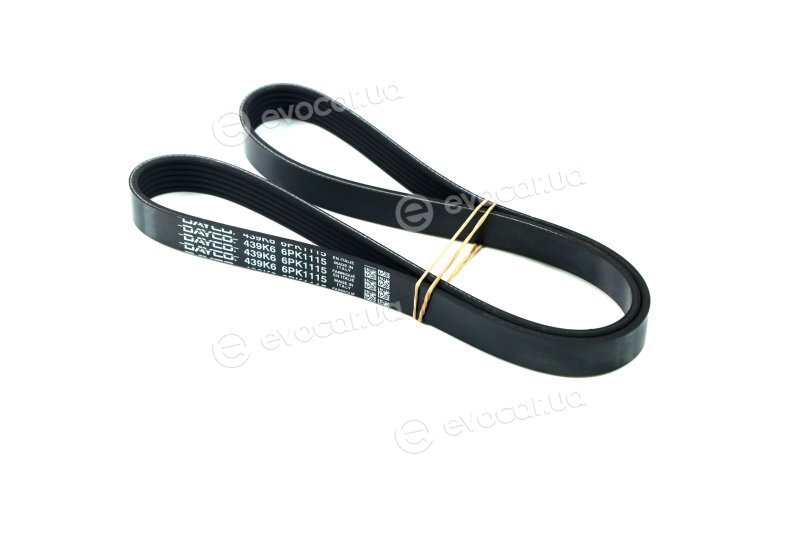 Dayco 6PK1115