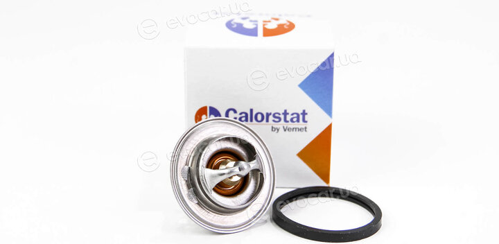 Vernet / Calorstat TH4898.87J
