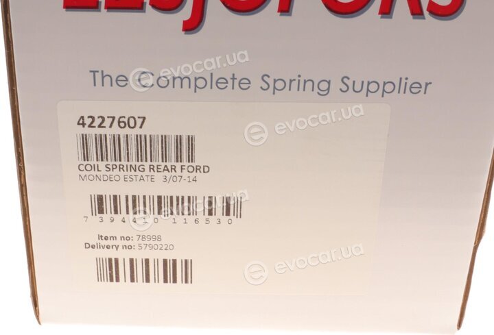 Lesjofors 4227607