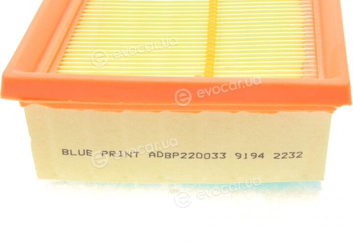 Blue Print ADBP220033