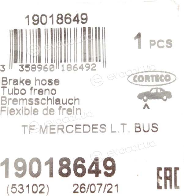 Corteco 19018649
