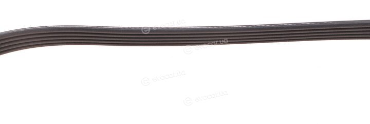 Dayco 5PK900