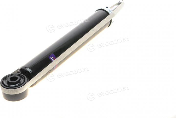AIC 55281