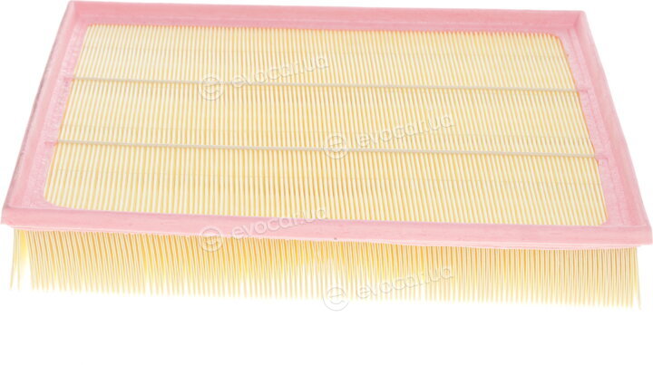 Solgy 103005