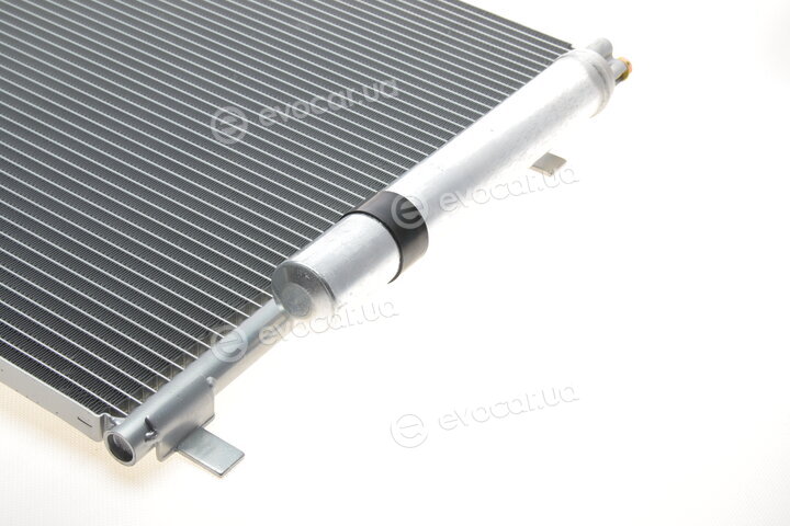 Van Wezel 58005277