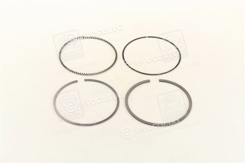 Mahle 004 06 N0