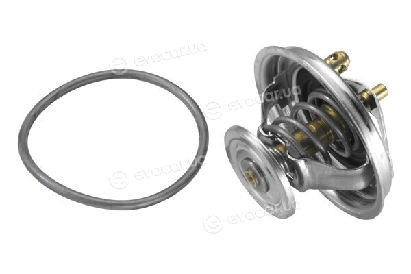 Wahler / BorgWarner 4455.80D