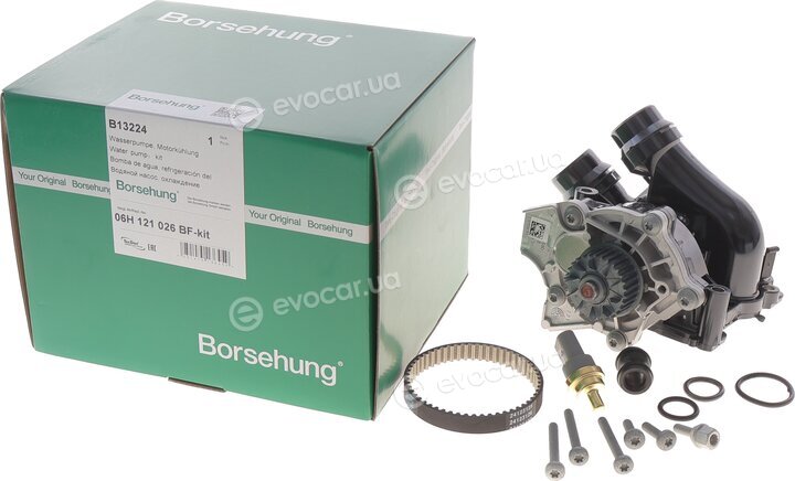 Borsehung B13224