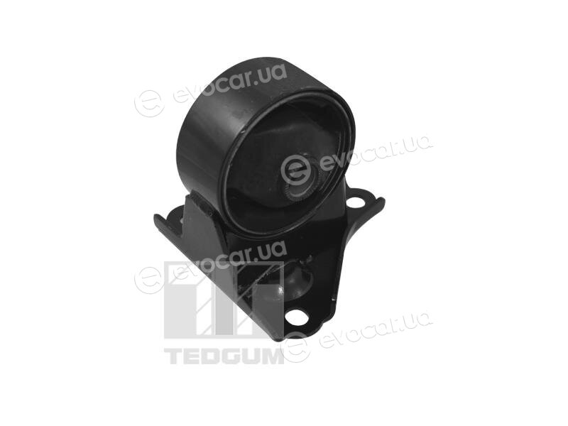 Tedgum TED62619