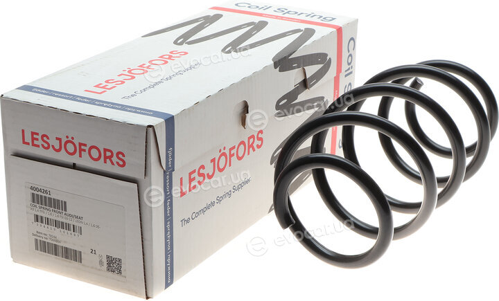 Lesjofors 4004261