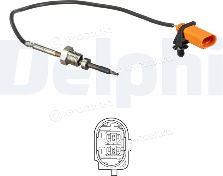 Delphi TS30171