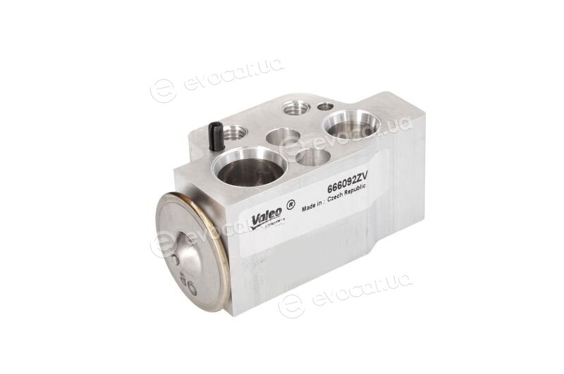 Valeo 509901