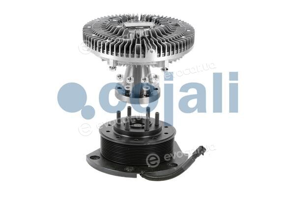 Cojali 7053802