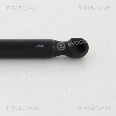Triscan 8710 80213