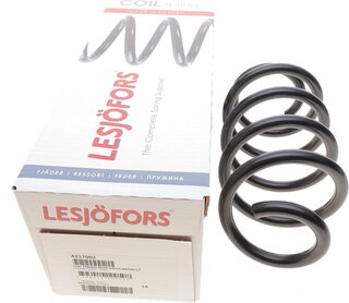 Lesjofors 4217002