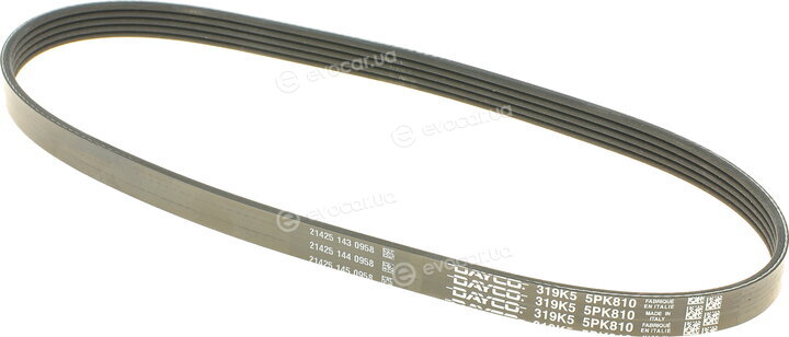 Dayco 5PK810