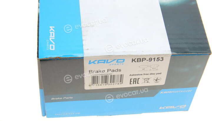 Kavo KBP-9153