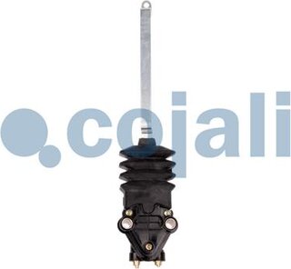 Cojali 2214519