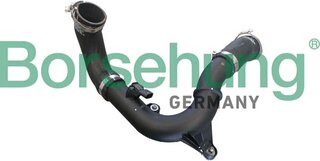 Borsehung B12347