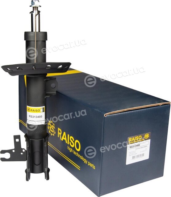 Raiso RS313480