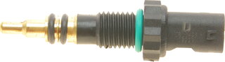 Delphi TS10495