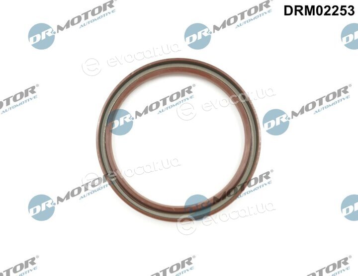 Dr. Motor DRM02253