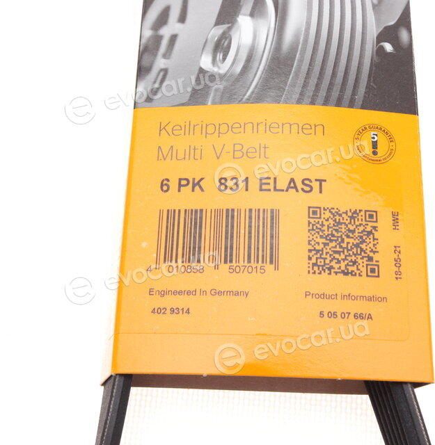 Continental 6PK831 ELAST