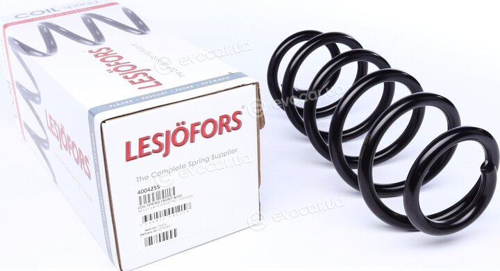 Lesjofors 4004255