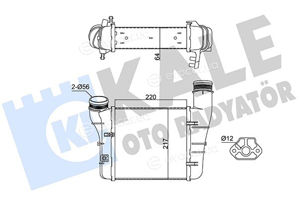 Kale 352430