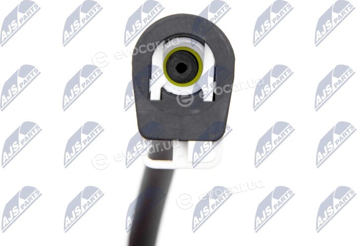 NTY BWP-FR-005