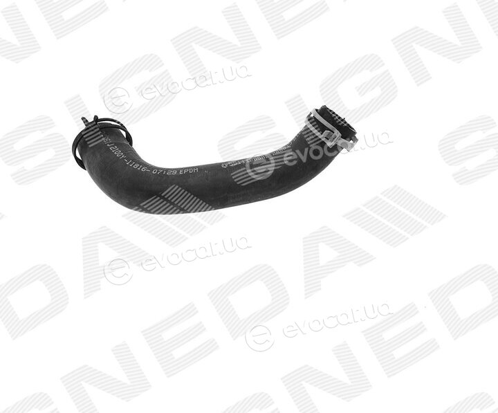 Signeda RZ50005A(O)