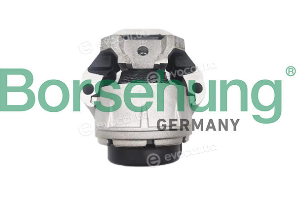 Borsehung B12685