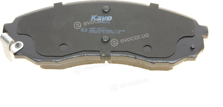 Kavo KBP-4024
