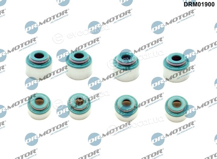 Dr. Motor DRM01900