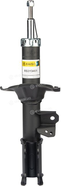 Raiso RS313461