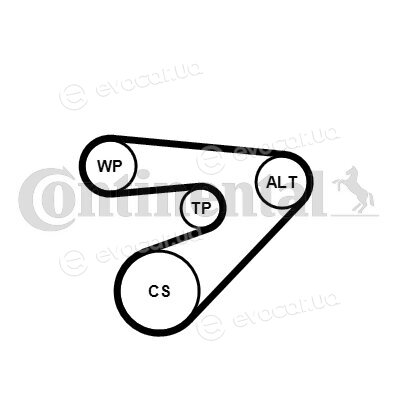 Continental 6PK1453WP1