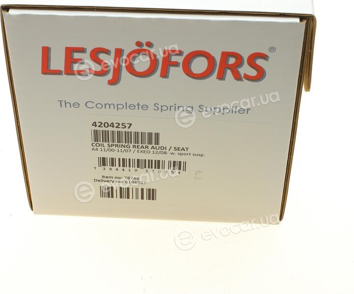 Lesjofors 4204257