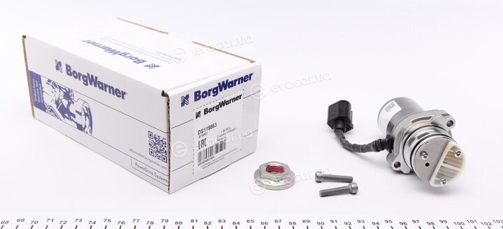 BorgWarner DS119863