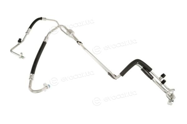 Thermotec KTT160081