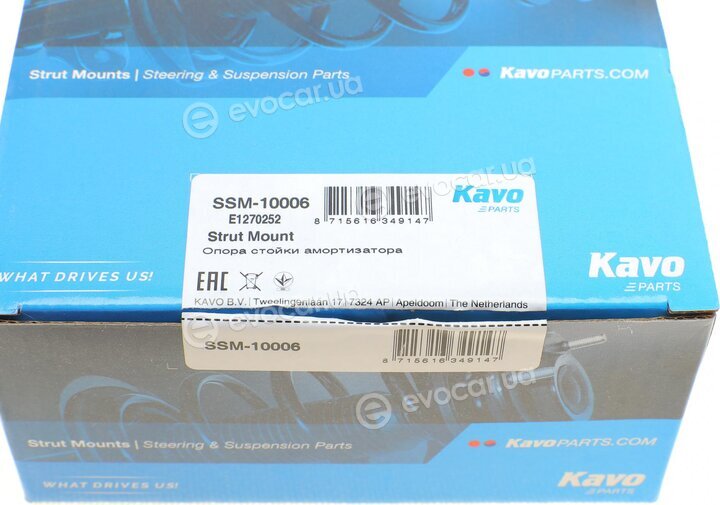 Kavo SSM-10006