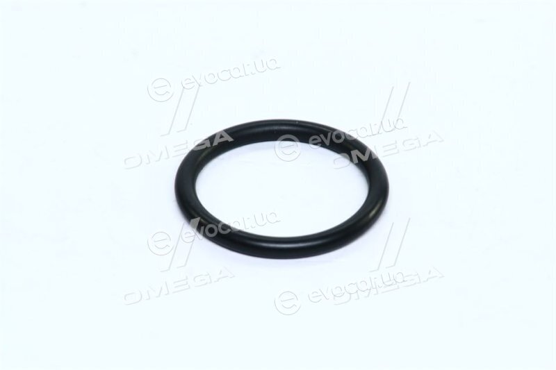 Febi 29752