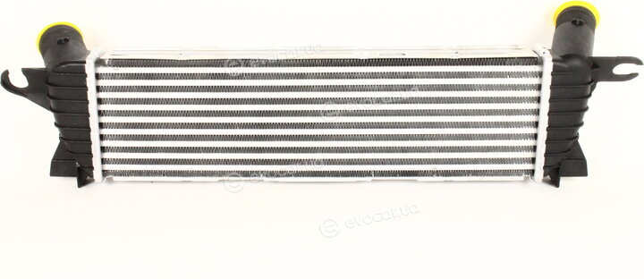 Kale 345095