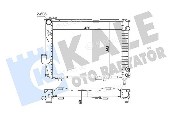 Kale 361900