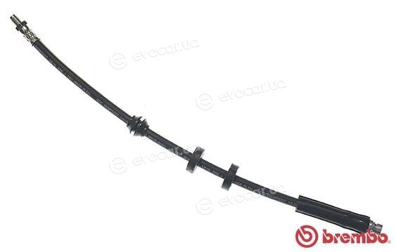 Brembo T 24 049