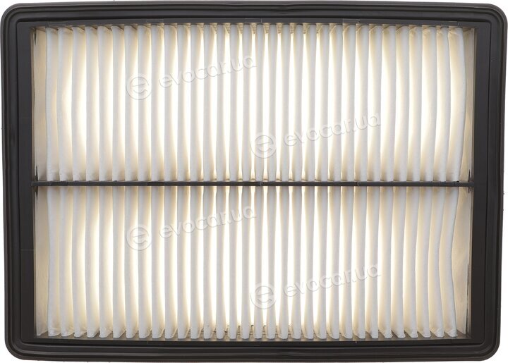 Solgy 103189