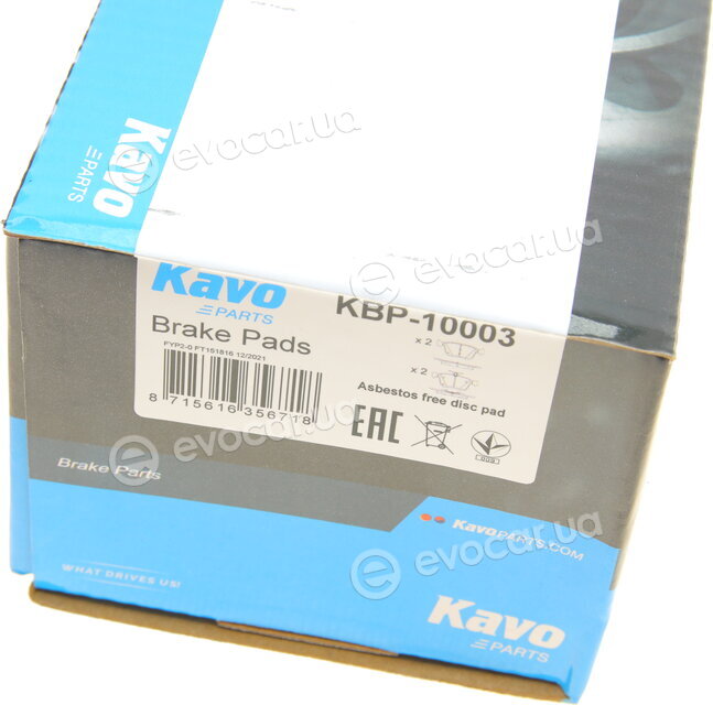 Kavo KBP-10003